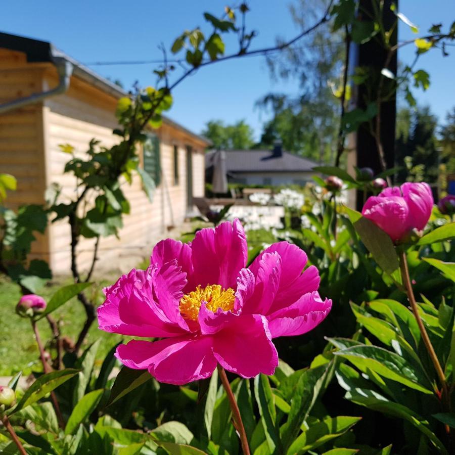 Chalet "Waldhauszeit" Am See Mücke Екстериор снимка
